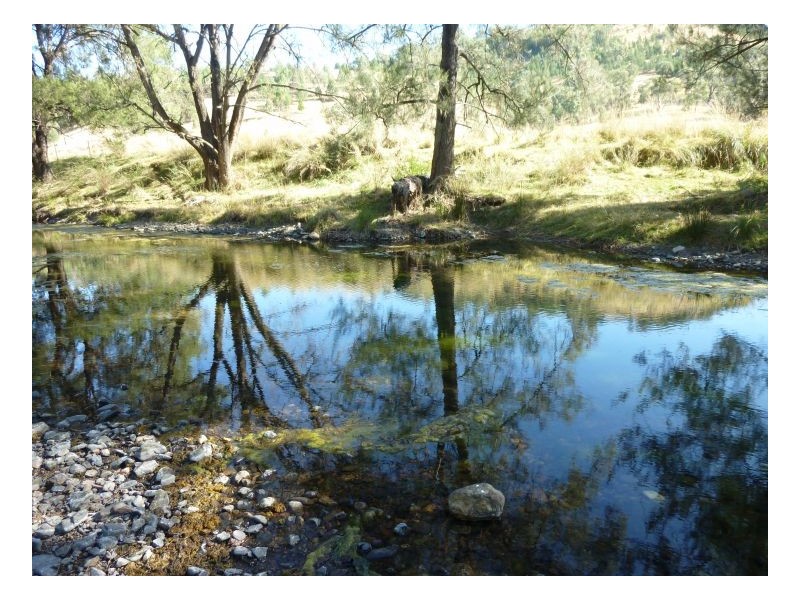 CARBEAN – Manilla, Tamworth NSW 2340