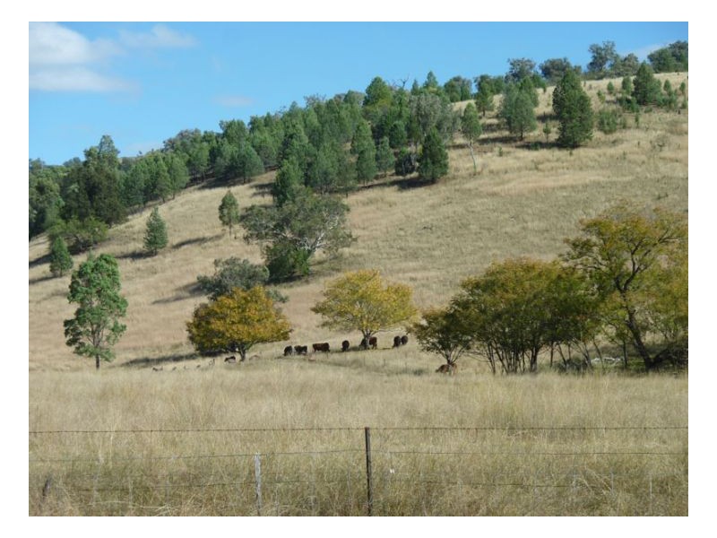 CARBEAN – Manilla, Tamworth NSW 2340