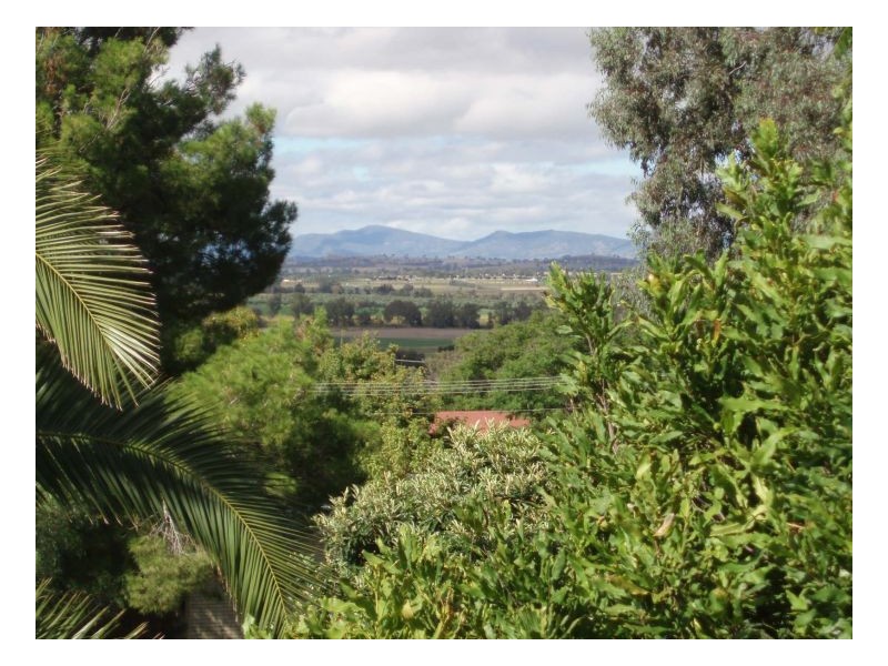 171B UPPER STREET, Tamworth NSW 2340