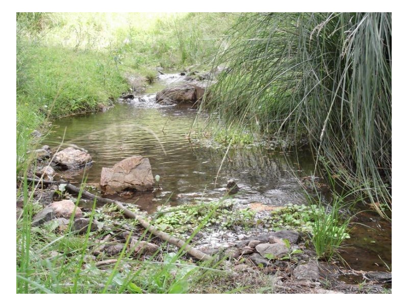 SOUTHGATE, Tamworth NSW 2340