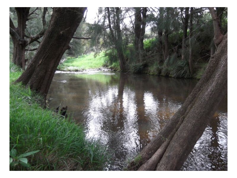 SOUTHGATE, Tamworth NSW 2340