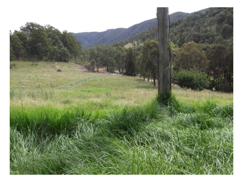 SOUTHGATE, Tamworth NSW 2340