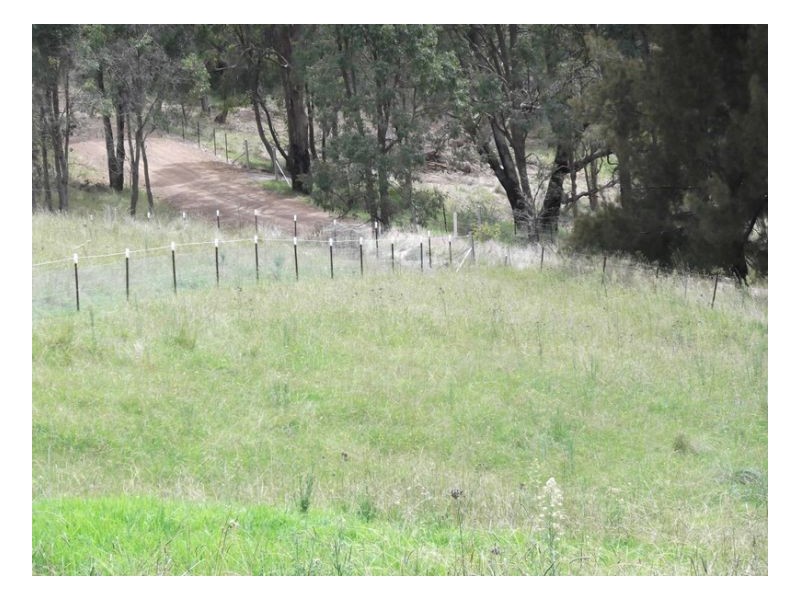 SOUTHGATE, Tamworth NSW 2340