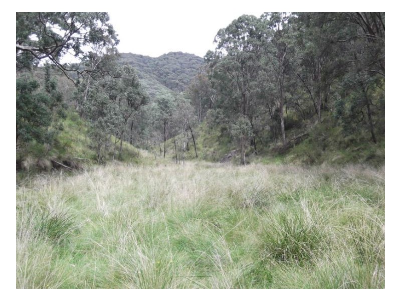 SOUTHGATE, Tamworth NSW 2340