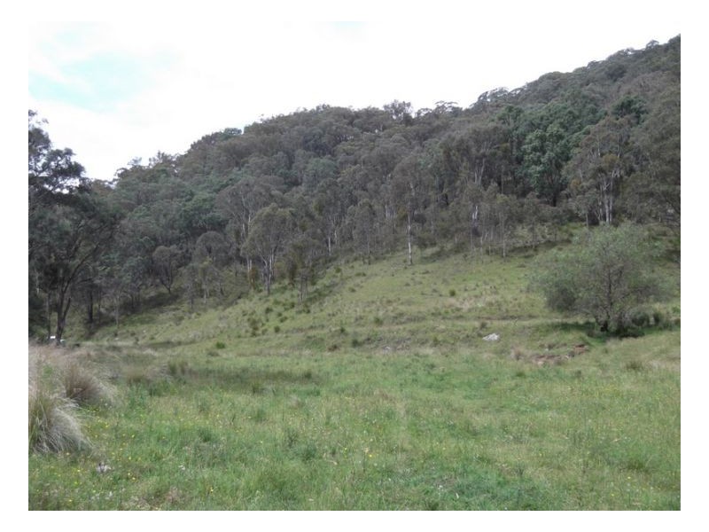 SOUTHGATE, Tamworth NSW 2340