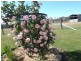 Tamworth NSW 2340