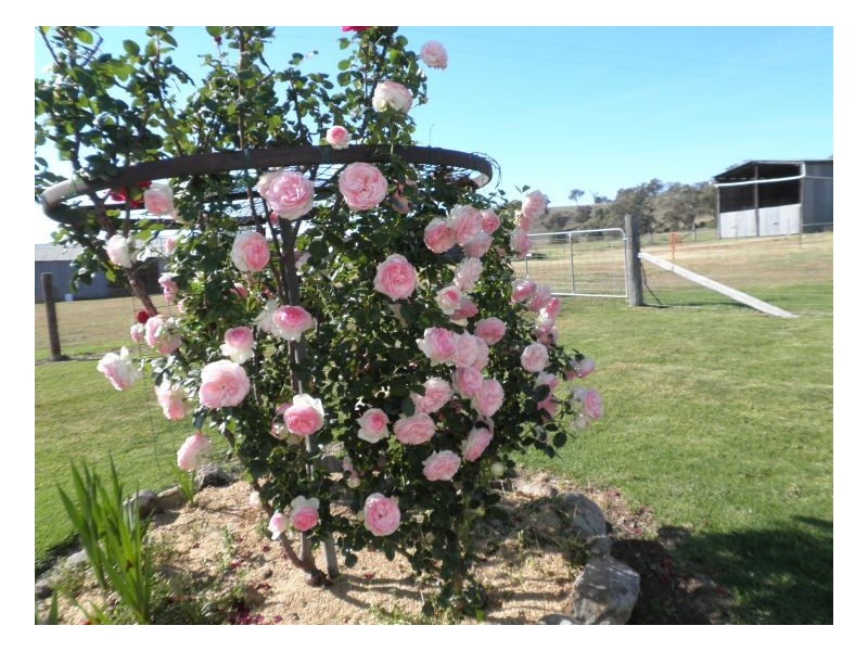 Tamworth NSW 2340