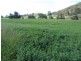 Tamworth NSW 2340