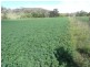 Tamworth NSW 2340