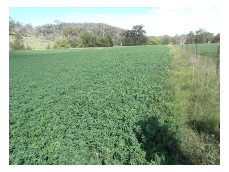 Tamworth NSW 2340
