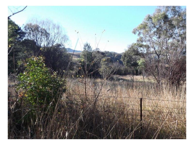 THE BUNGALOW – Nundle, Tamworth NSW 2340