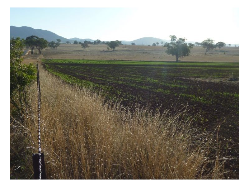 GLEN HAVEN – Duri, Tamworth NSW 2340