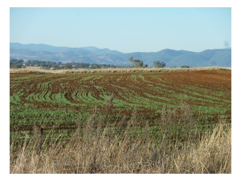 GLEN HAVEN – Duri, Tamworth NSW 2340