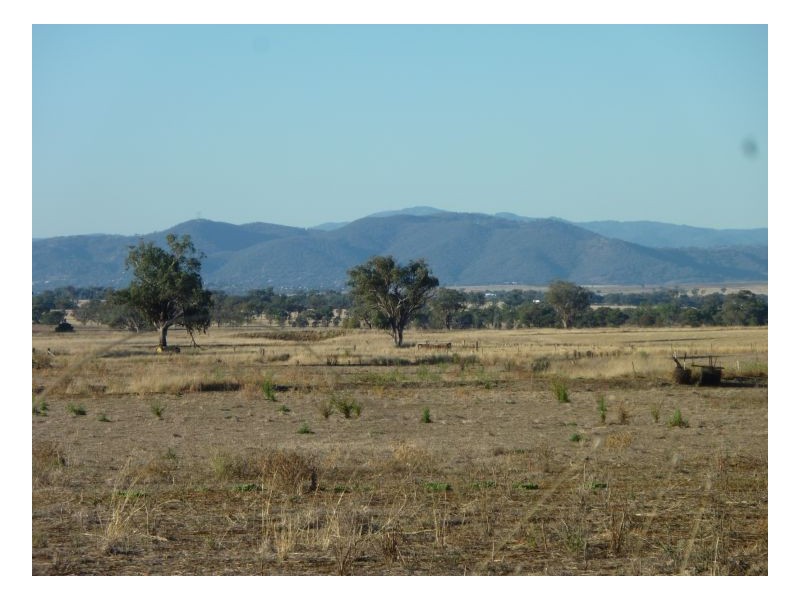 GLEN HAVEN – Duri, Tamworth NSW 2340