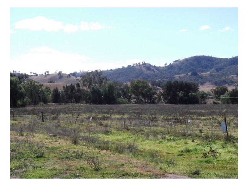 SILVERDALE – Manilla, Tamworth NSW 2340