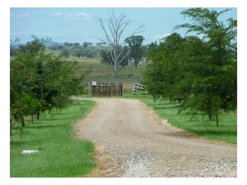 BARBELLA, Tamworth NSW 2340