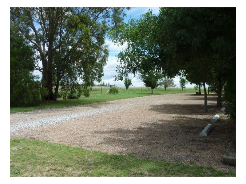 BARBELLA, Tamworth NSW 2340