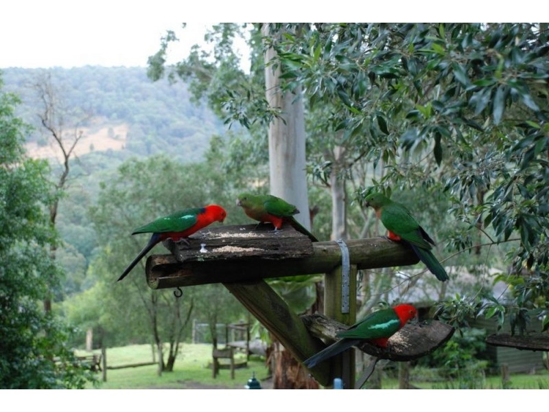 HOME BASED BUSINESS, Bandon Grove NSW 2420
