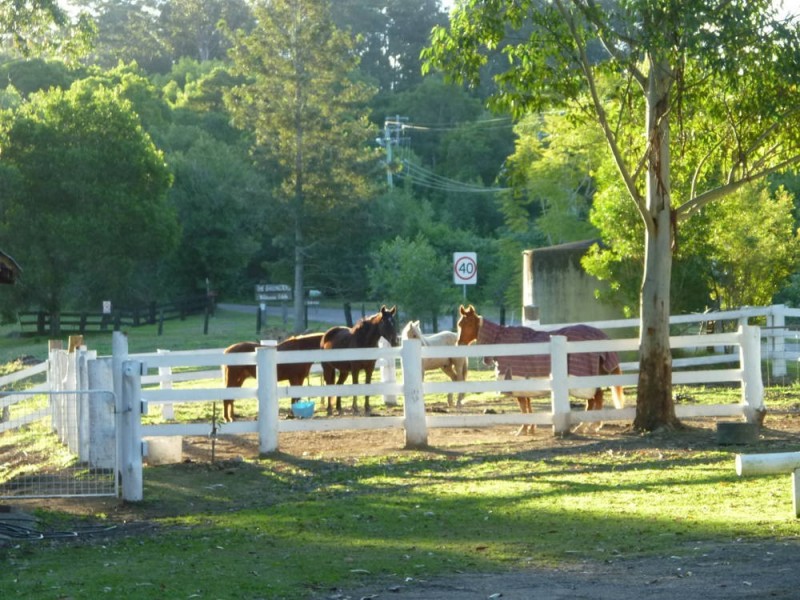 HOME BASED BUSINESS, Bandon Grove NSW 2420