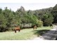 HOME BASED BUSINESS, Bandon Grove NSW 2420