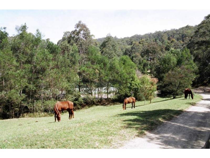 HOME BASED BUSINESS, Bandon Grove NSW 2420