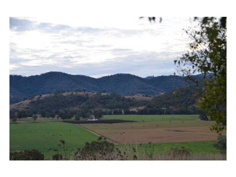 SPRING VALLEY – Dungowan, Tamworth NSW 2340