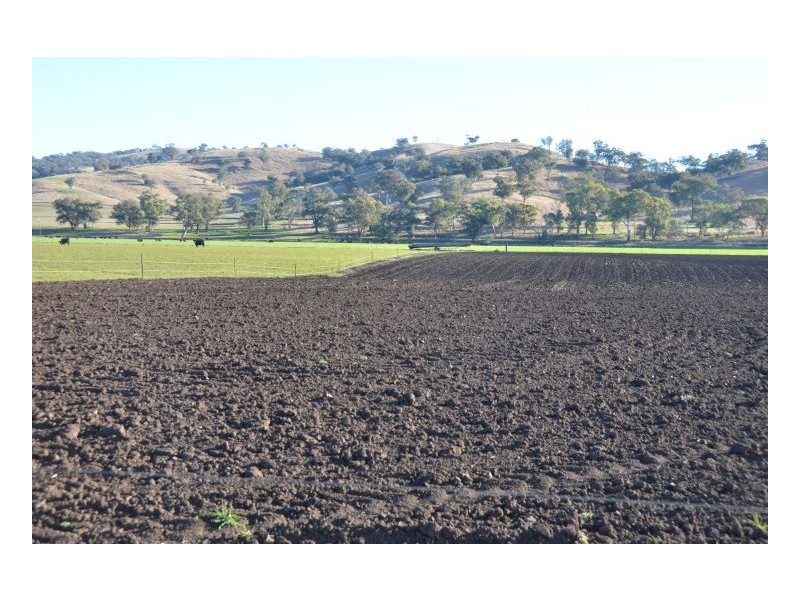 SPRING VALLEY – Dungowan, Tamworth NSW 2340