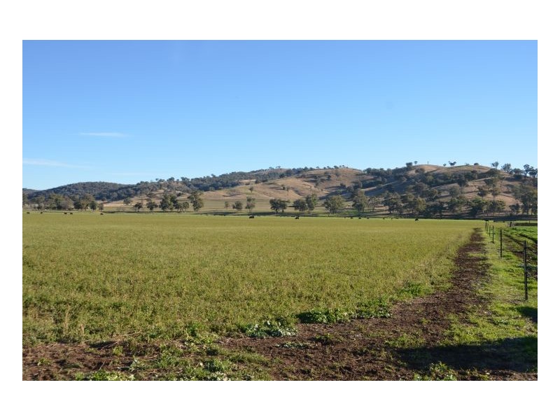 SPRING VALLEY – Dungowan, Tamworth NSW 2340