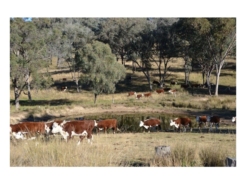 SPRING VALLEY – Dungowan, Tamworth NSW 2340