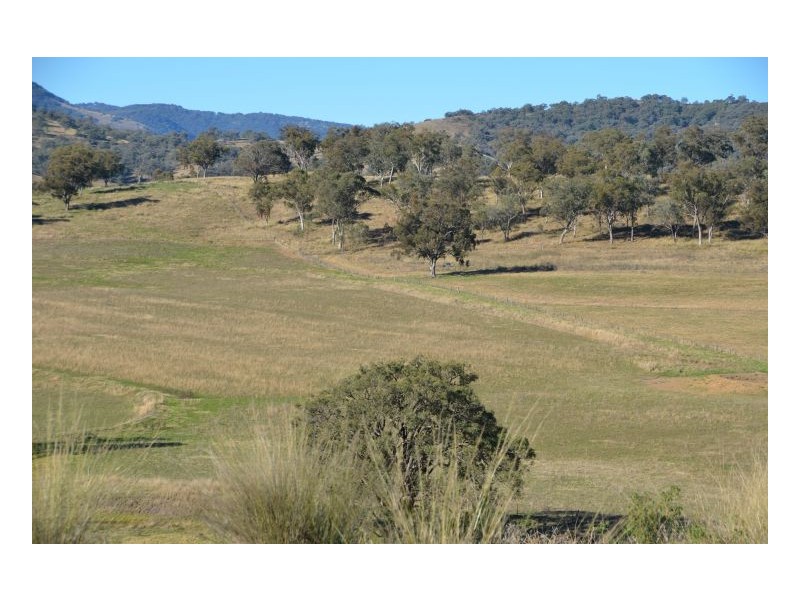 SPRING VALLEY – Dungowan, Tamworth NSW 2340