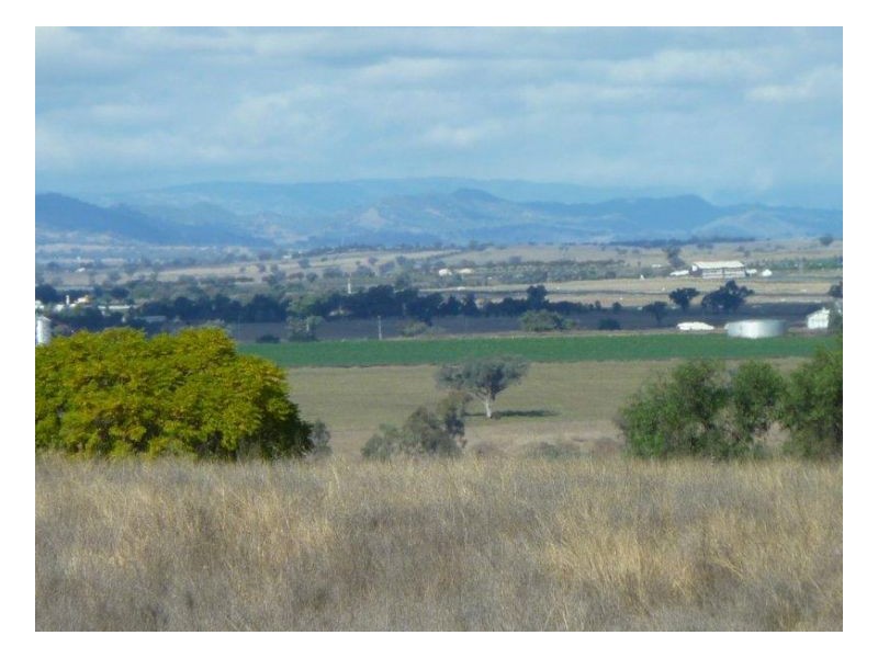 MOSSVALE, Tamworth NSW 2340