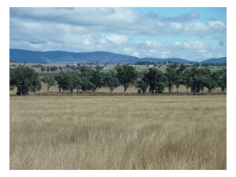 MOSSVALE, Tamworth NSW 2340