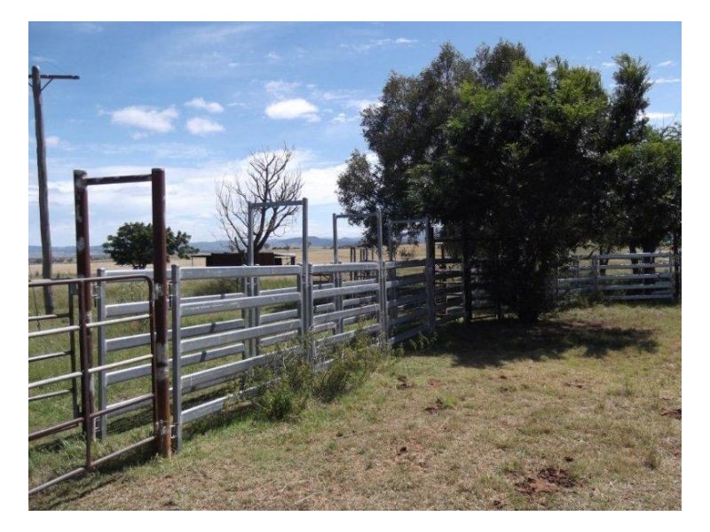 MOSSVALE, Tamworth NSW 2340