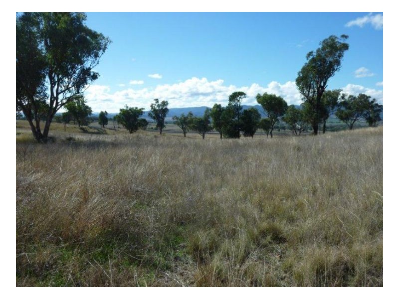 MOSSVALE, Tamworth NSW 2340