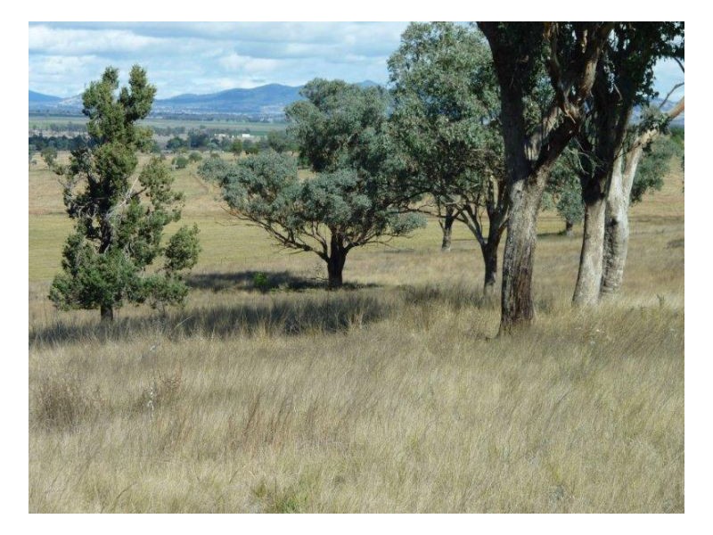 MOSSVALE, Tamworth NSW 2340