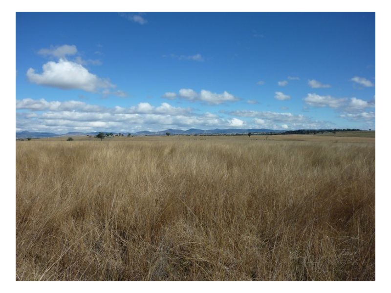 MOSSVALE, Tamworth NSW 2340