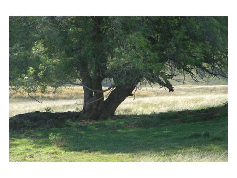 VEGA VALE – Upper Manilla, Tamworth NSW 2340