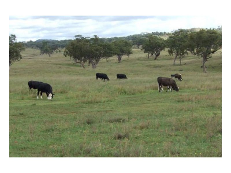 VEGA VALE – Upper Manilla, Tamworth NSW 2340