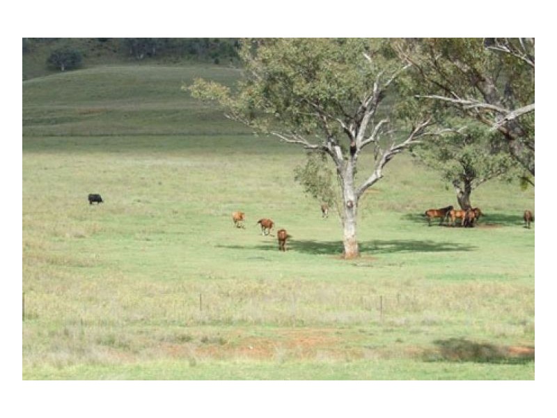 VEGA VALE – Upper Manilla, Tamworth NSW 2340