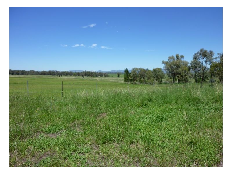 LOMBARDY, Tamworth NSW 2340