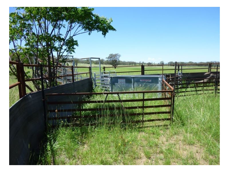 LOMBARDY, Tamworth NSW 2340