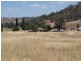 Wagga Wagga NSW 2650