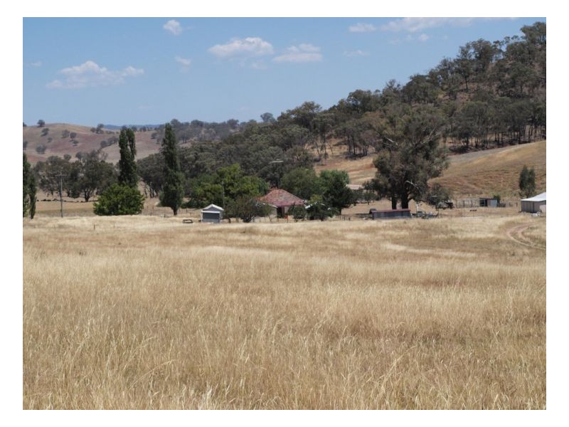 Wagga Wagga NSW 2650