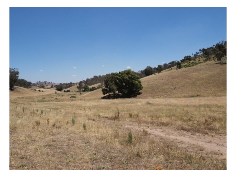 Wagga Wagga NSW 2650