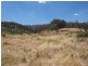 Wagga Wagga NSW 2650