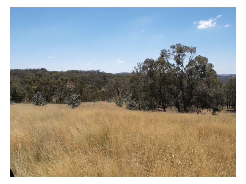 Wagga Wagga NSW 2650