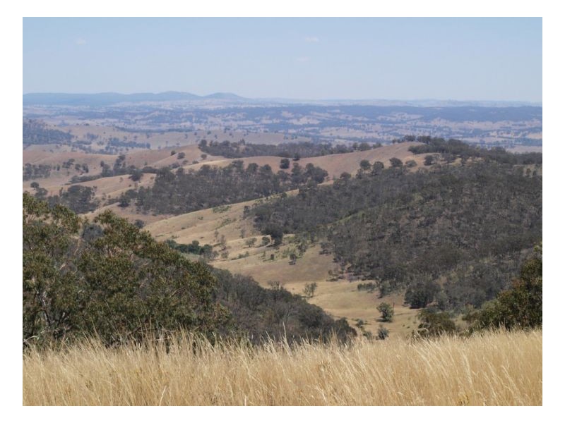 Wagga Wagga NSW 2650