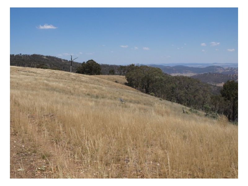 Wagga Wagga NSW 2650