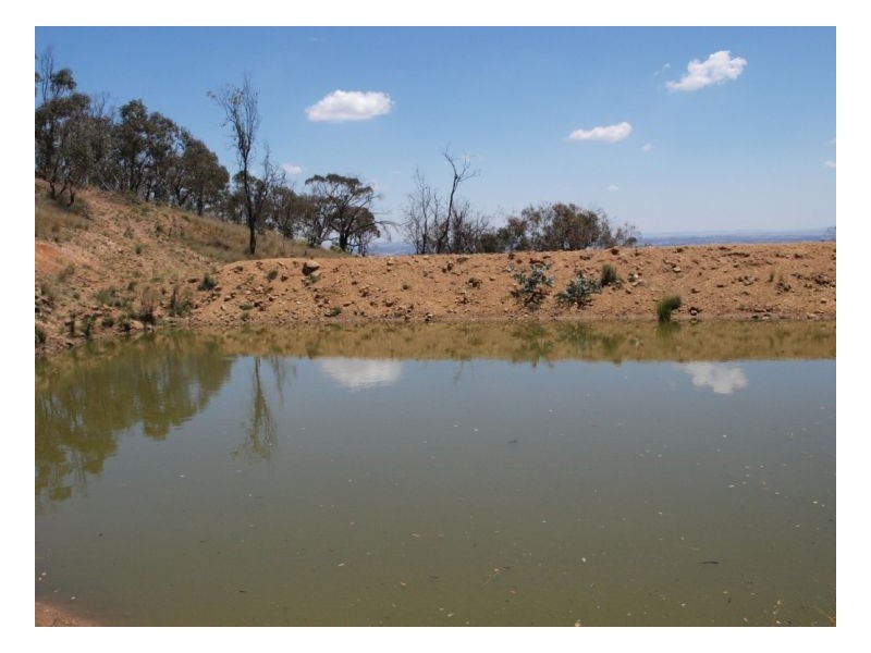 Wagga Wagga NSW 2650