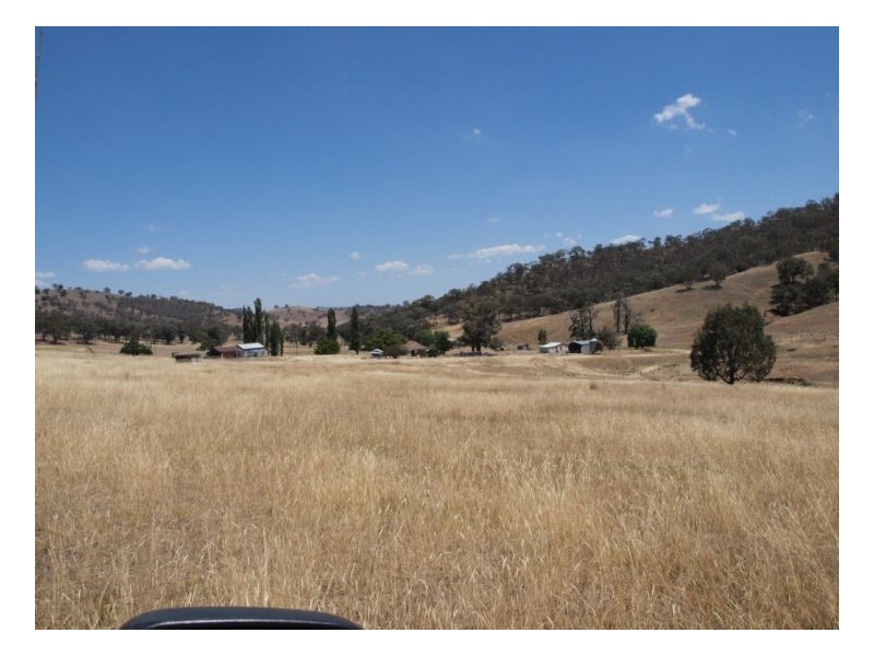 Wagga Wagga NSW 2650